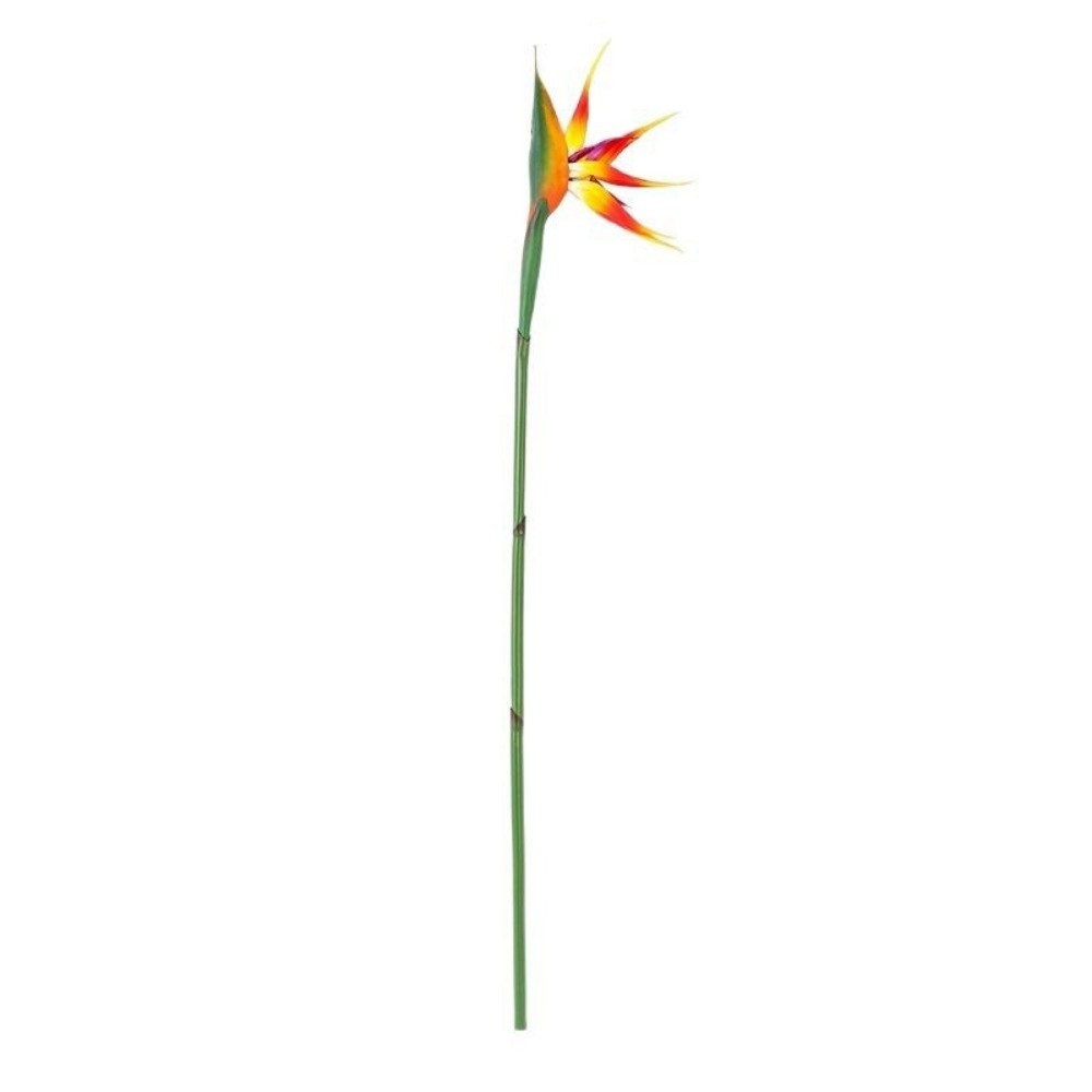 Langstengelige Kunstmatige Par - Bird Paradise Strelitzia recensie en prijs