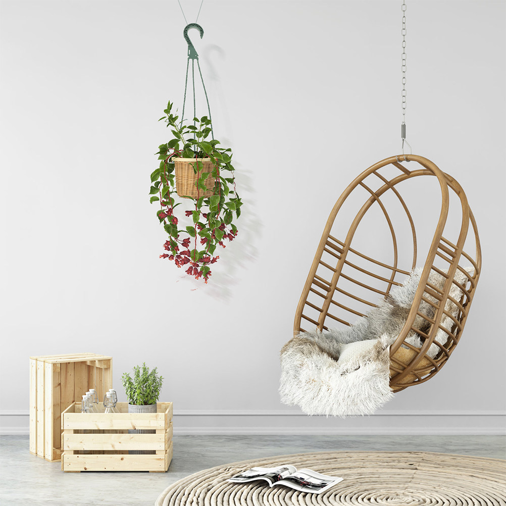 5-delige set hangende plantenh - Spider Plant Hanging recensie en prijs