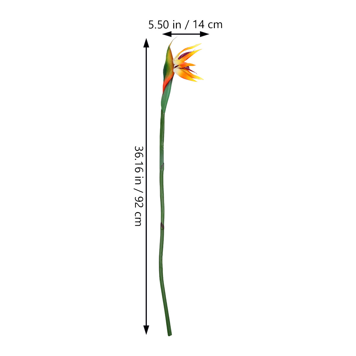 Kunstmatige Strelitzia Bloem K - Bird Paradise Strelitzia recensie en prijs