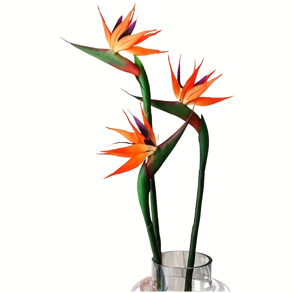 3 stuks kunstmatige hemelvogel - Bird Paradise Strelitzia recensie en prijs